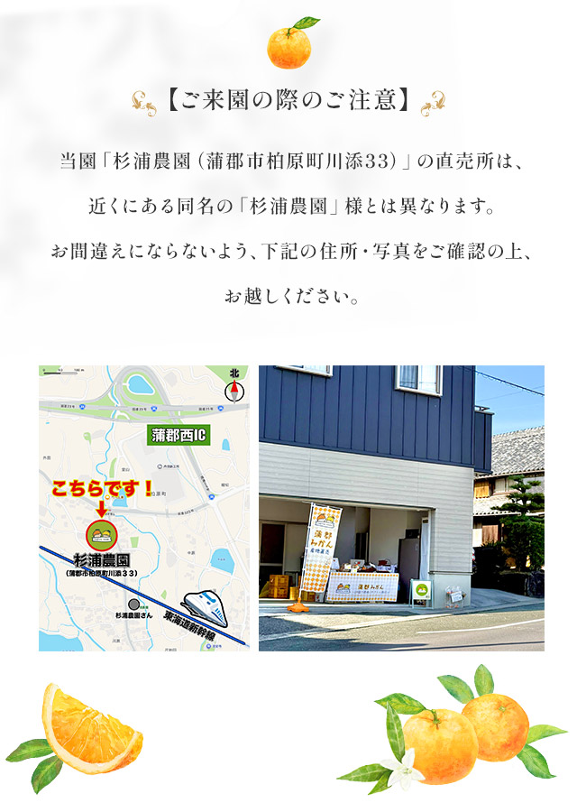 EM菌の恵みを受けた、極上の蒲郡みかん｜蒲郡市の杉浦農園｜販売中